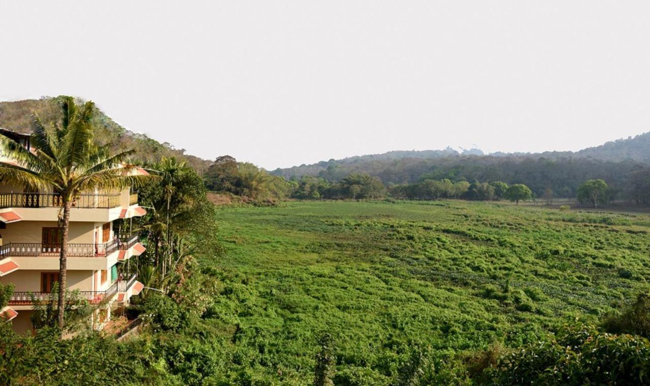 Jungle Palace Homestay Thekkady Exteriör bild