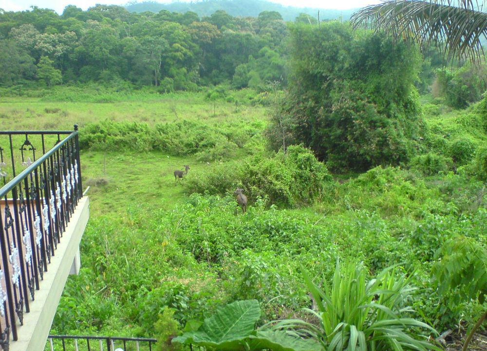 Jungle Palace Homestay Thekkady Exteriör bild